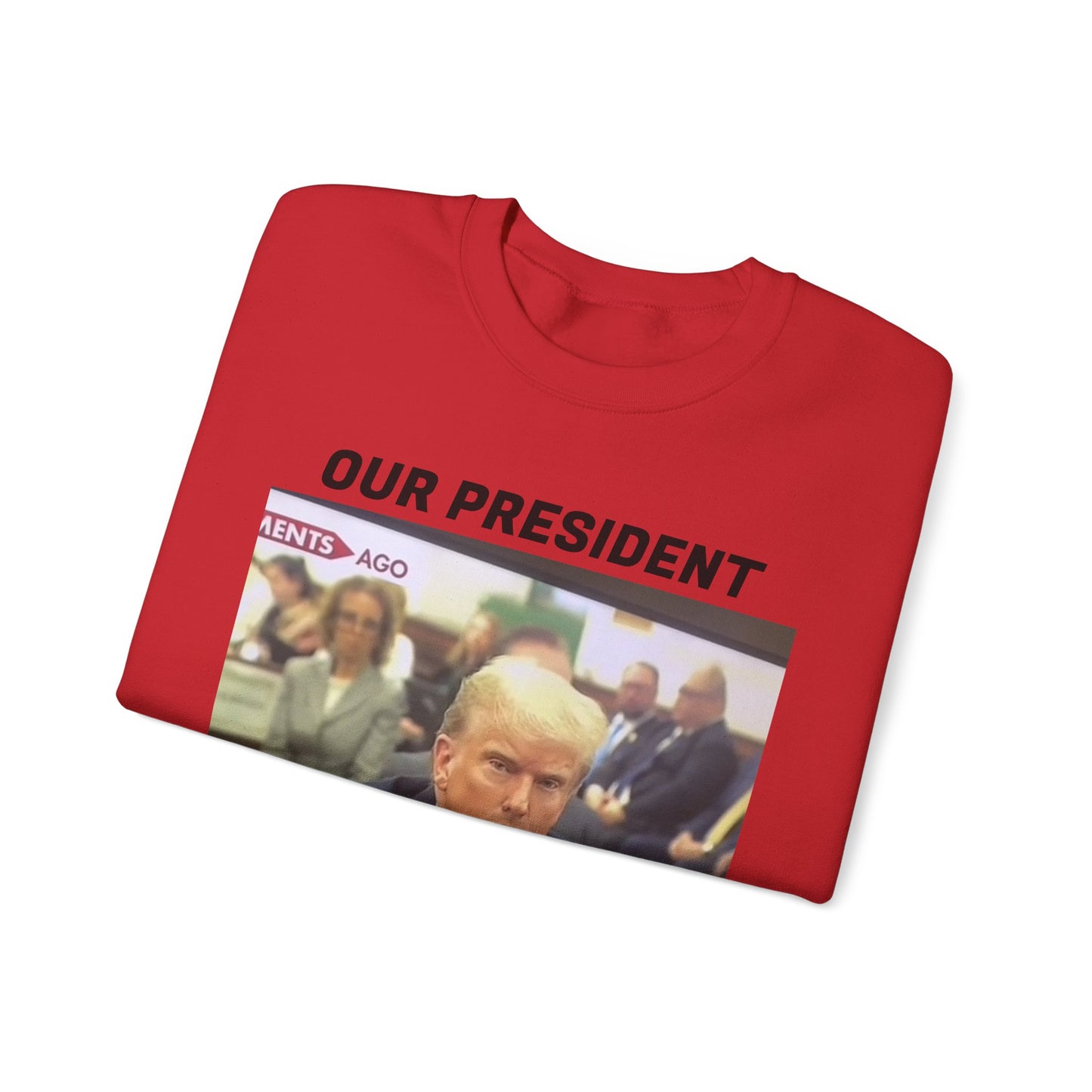 TrumpMaxx Sweatshirt