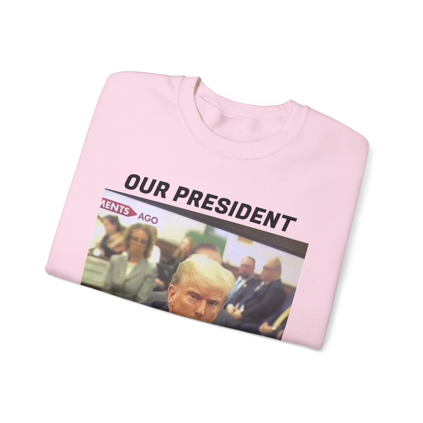 TrumpMaxx Sweatshirt