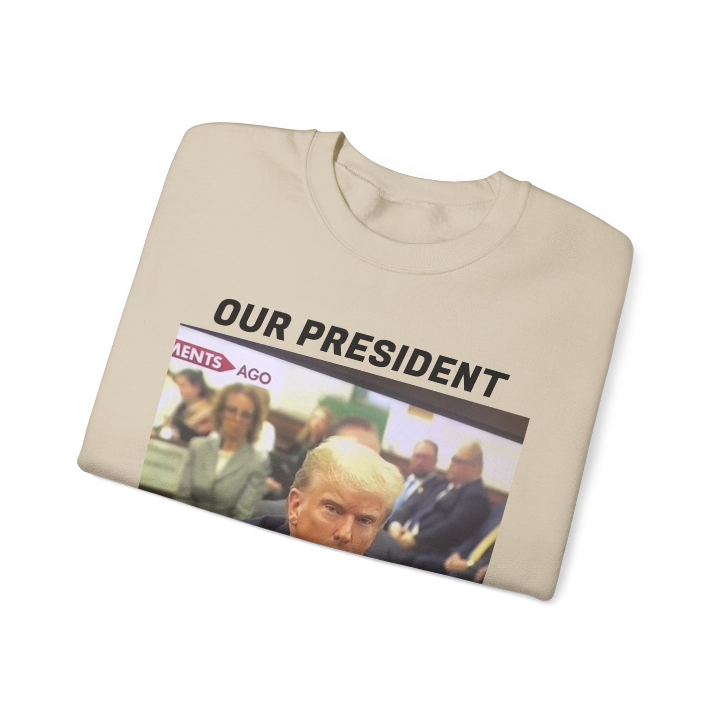 TrumpMaxx Sweatshirt