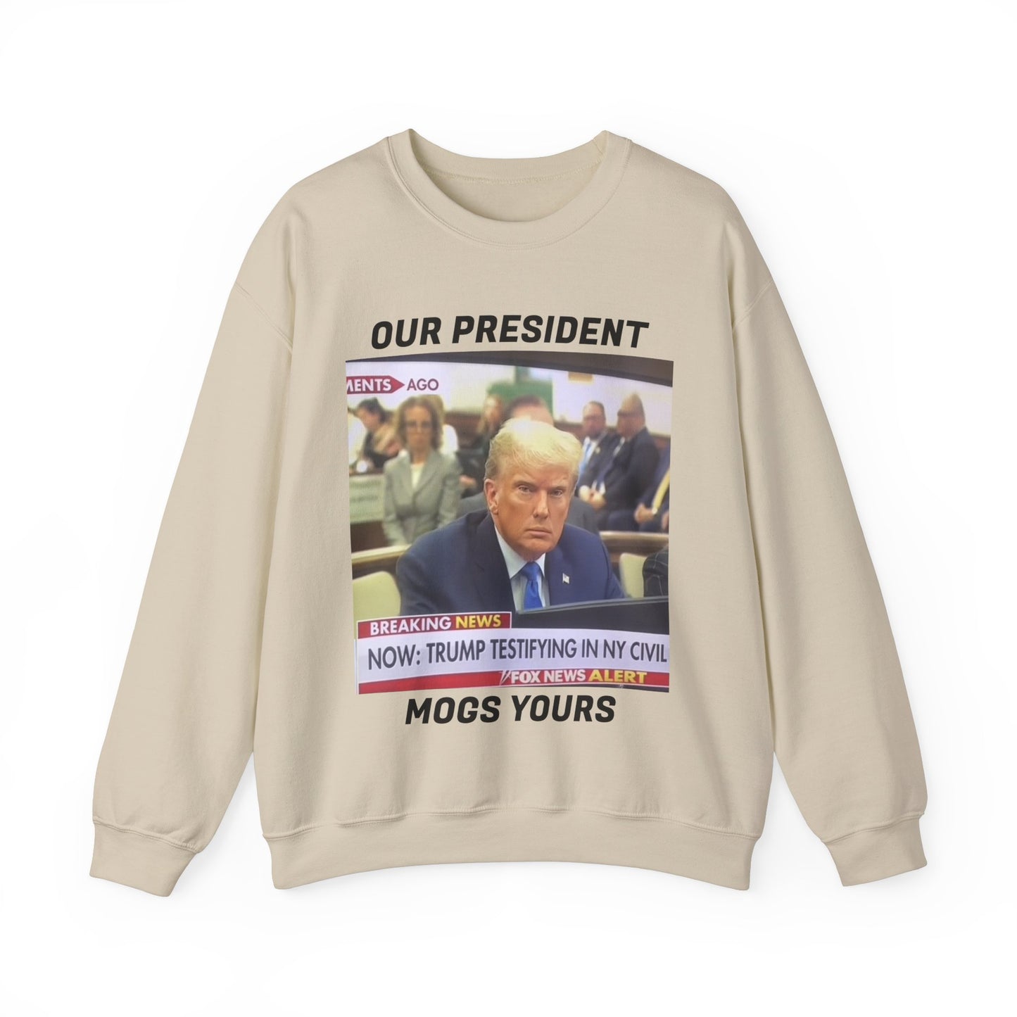 TrumpMaxx Sweatshirt